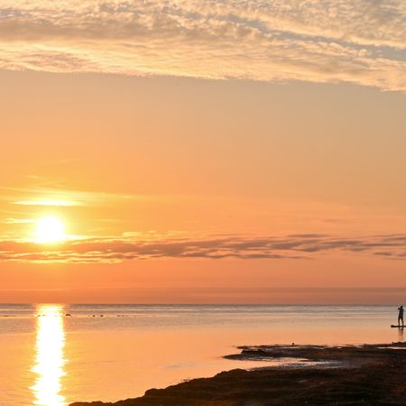 Skolkvior, Klintehamn - Foto 3