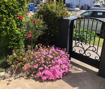 7/839 New South Head Road, Rose Bay NSW 2029 - Apartment For Rent |... - Photo 2