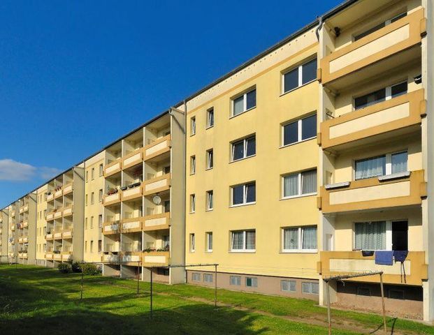 Hinein ins neue Heim - Foto 1