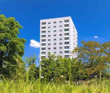 Grunaer Str. 18, 01069 Dresden OT Pirnaische Vorstadt - Photo 6