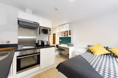 Studio Bronze Plus - City View - Photo 5