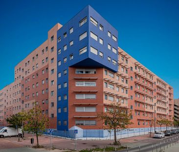 Piso de alquiler en Almonte, 16, Ensanche de Vallecas - La Gavia - Photo 6