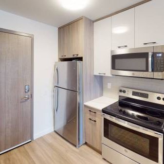 1 Bedroom Apartment - Walnut Place - Hamilton - Photo 1