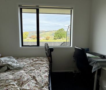 33 Eton Street, Richmond, Tasman - Photo 6