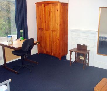 1 bedroom House To Let - Photo 5