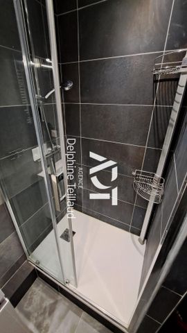 Location Appartement 2 pièces 29m² GRENOBLE 38100 - Photo 5