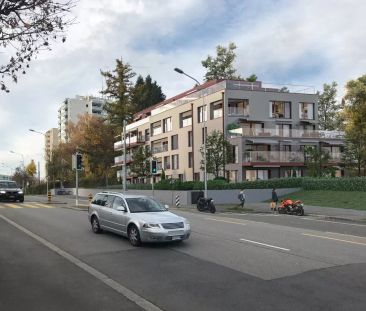 Magnifique appartement à louer ! - Photo 4