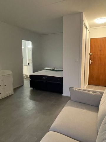 Location Appartement 1 pièce 29m² - Photo 4