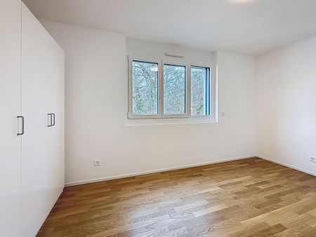 Beautiful 5.5 room apartment near Palais des Nations - Photo 2