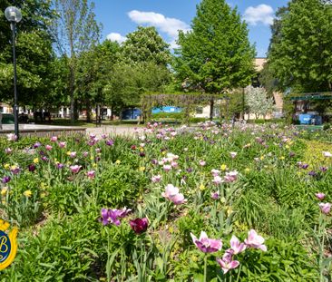 Parkgatan 11G - Foto 2