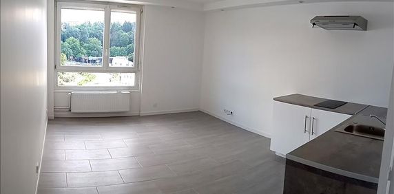 Appartement 42100, Saint-Étienne - Photo 2