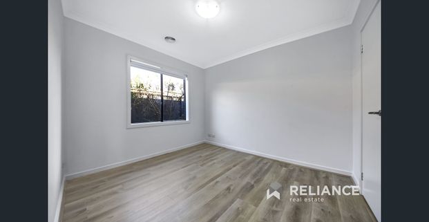 Entertainers Dream - Photo 1