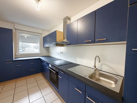 Location Appartement 3 pièces 65m² SELESTAT 67600 - Photo 2