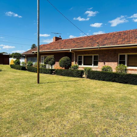 13 Goldsmith Street, South Bunbury WA - Photo 3