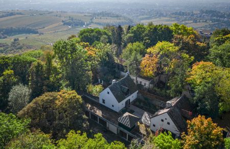 Liebe zur Nostalgie: Historische Villa am Kahlenberg mit Blick über Wien - Photo 2