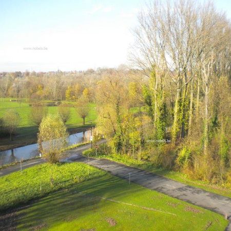 Te huur, energiezuinig appartement met 2 slaapkamers nabij centrum Oudenaarde - Foto 3