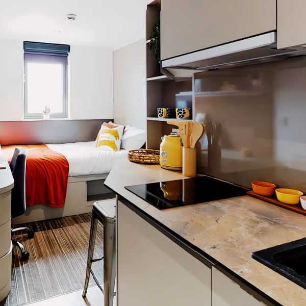 Bronze Studio - Large - Photo 1