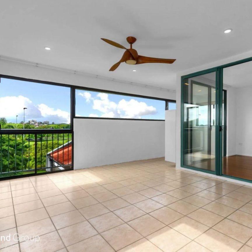 Live amongst the tree tops! - Photo 1