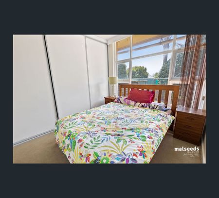 1 Wren Street, Mount Gambier, SA 5290 - Photo 5
