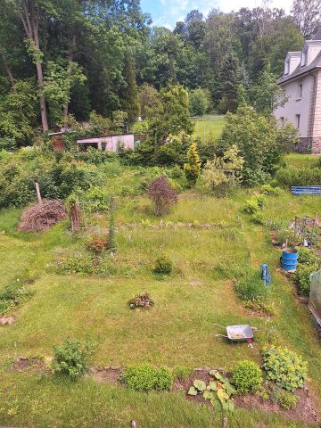 sanierte 2-Raumwhg - Photo 5