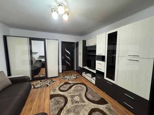 Garsoniera de inchiriat, 32 mp, Brazda lui Novac - Fotografie 1