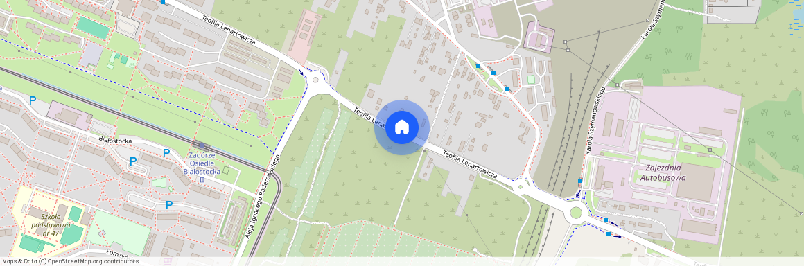 ul. Teofila Lenartowicza, Zagórze Południe, Sosnowiec, śląskie