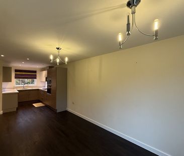 Tiger Flower Way - Photo 4