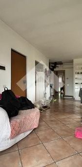 Trilocale in affitto - Photo 1