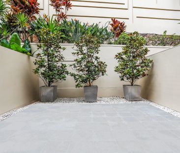 14 Pottinger Street, Sydney NSW 2000 - Townhouse For Rent | Domain - Photo 6