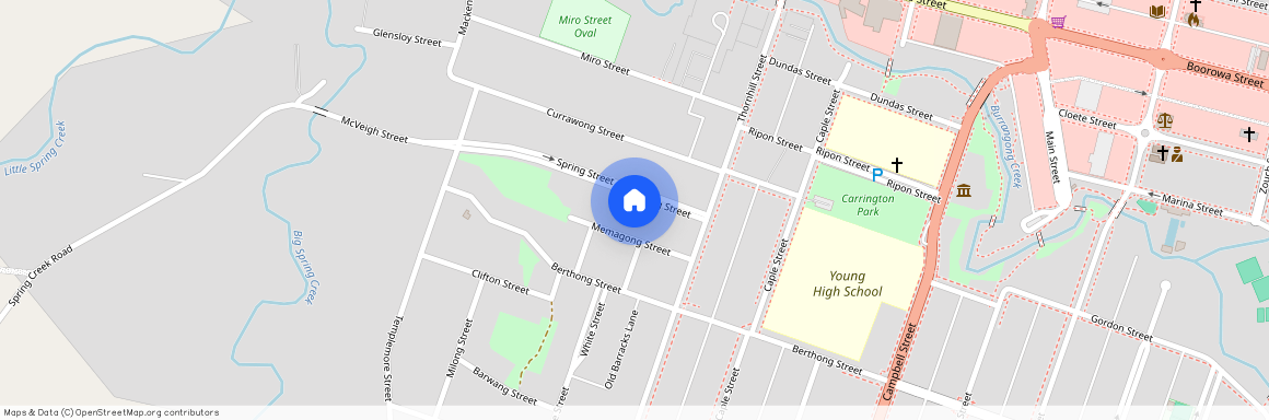 Room 2/ 14 Spring Street, Young, NSW, 2594