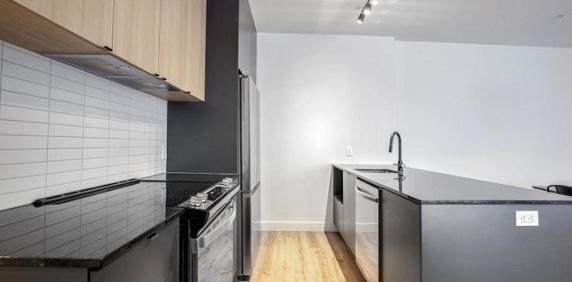 3 1/2 - Montréal (La Petite-Patrie) - 1 650 $/mois - Photo 2