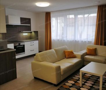 Kiadó új építésű lakás - Nyíregyháza - Photo 4