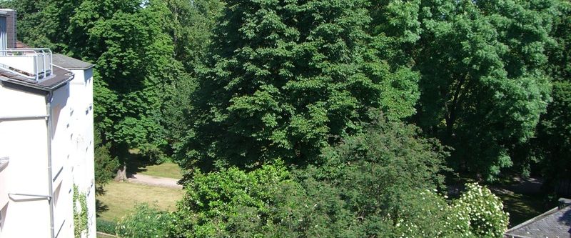 Gemütliche 2-Zimmer-Gründerzeitwohnung mit Wohnküche im Bonner Musikerviertel - Foto 1