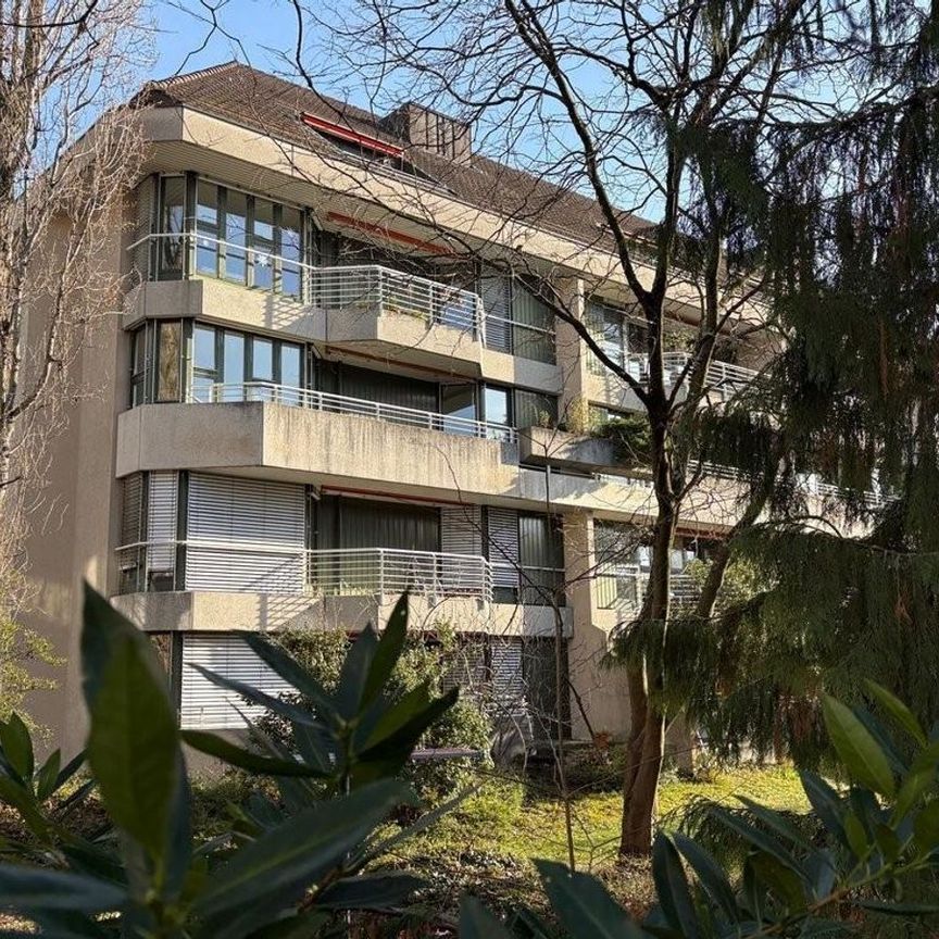Quiet residential area near the Rhine - Photo 1