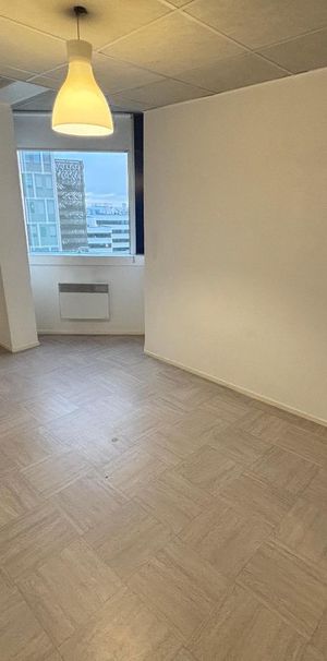 Location Appartement 1 pièce 20m² TOURS 37000 - Photo 1