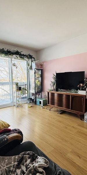 Ramoneur Appartement 4 ½ à Louer Lévis Juillet 2026 - Photo 1