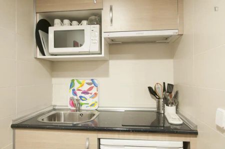 Estudio de alquiler en Cortes - Huertas - Foto 3
