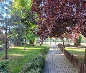 Katowice - Zdjęcie 6