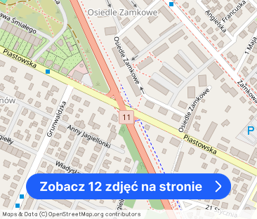 Mieszkanie 110 m2 w kamienicy z tarasem 60m2 - Zdjęcie 1