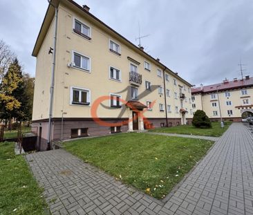 Pronájem bytu 2+1 52 m2 - Fotografie 3