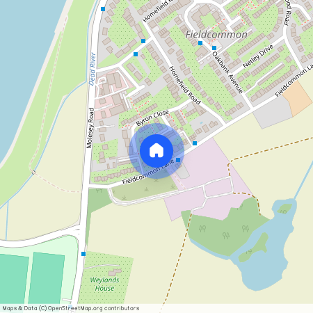 Field Common Lane, Walton-on-thames, KT12