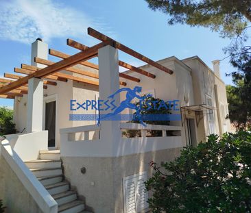 Μονοκατοικία για ενοικίαση Άγιος Νικόλαος (Αρτέμιδα (Λούτσα)) - Φωτογραφία 2