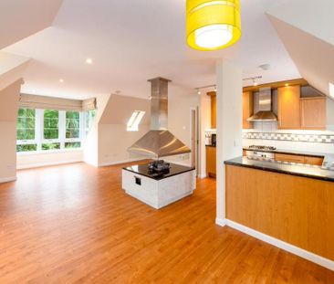 3 bedroom apartment to rent - Photo 3