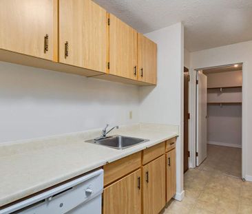 Renovated Suite - 1 Bedroom - Photo 4