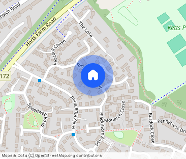 Tortoiseshell Way, WYMONDHAM - Photo 1