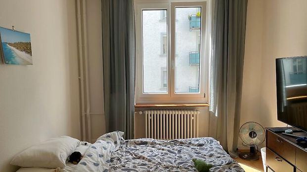 4 Zimmer-Wohnung in Zürich - Kreis 6 Unterstrass, möbliert, auf Zeit - Photo 1