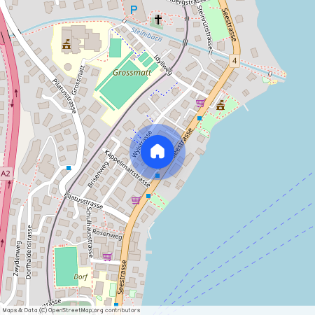 Seestrasse 53, 6052 Hergiswil NW