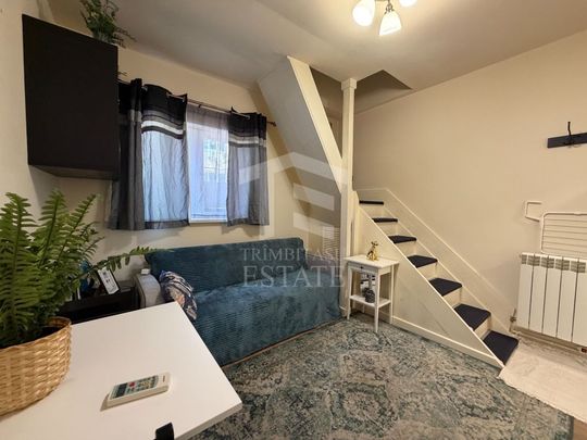 PARCUL CAROL - Viilor | Chirie Casa 2 Camere - Photo 1