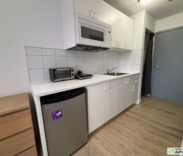 1024, rue sherbrooke, Le Plateau-Mont-Royal à louer - Photo 1