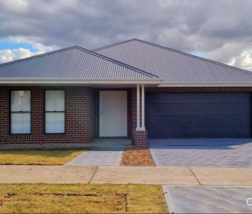 16 Tillage Drive, Lochinvar, NSW 2321 - Photo 1